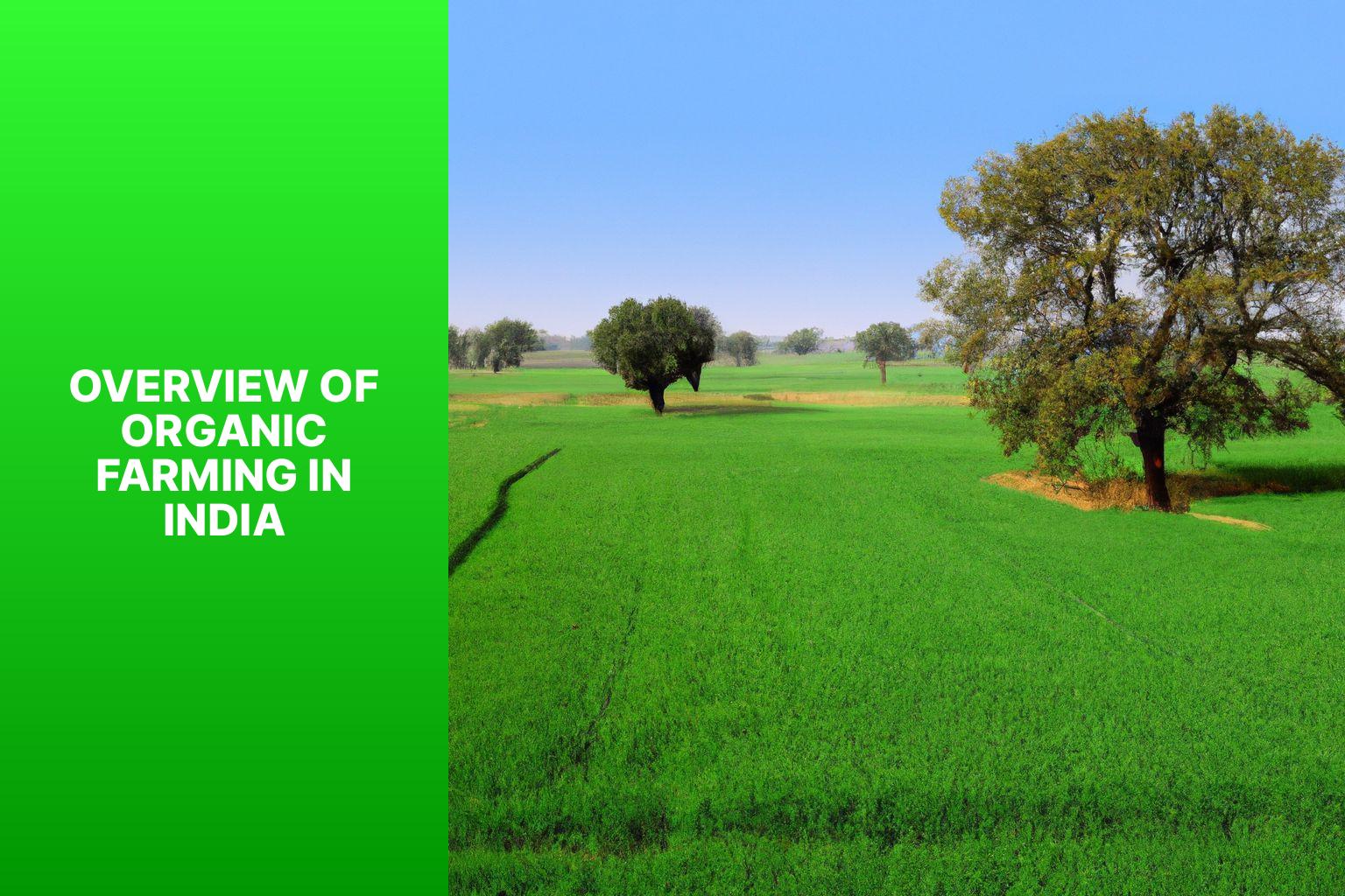 Overview of Organic Farming in India - History of Organic Farming in India 