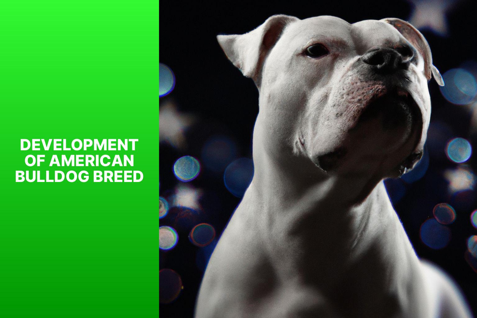 Development of American Bulldog Breed - From Bulldogs to Heroes: Tracing American Bull Dog History 