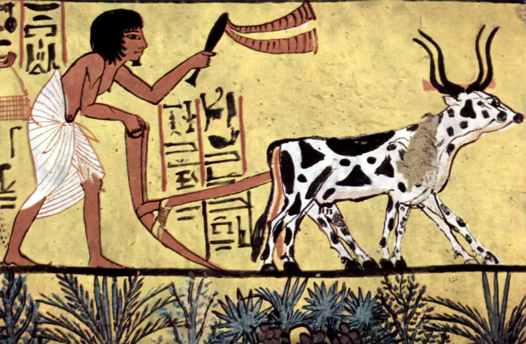 Old painting of early agriculture