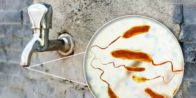Bengaluru's Cholera Outbreak: A Wake-Up Call